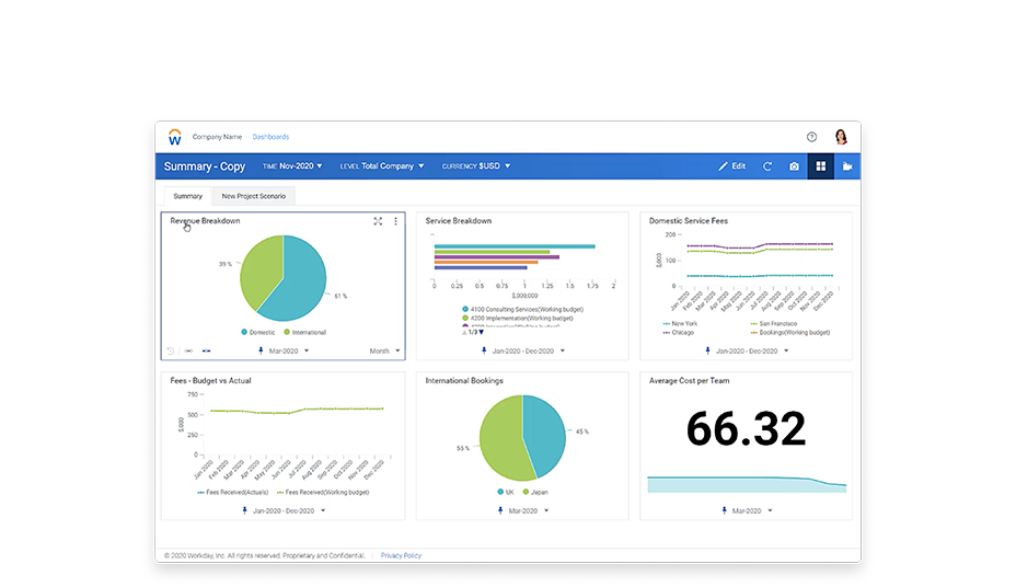 Adaptive Planning for Professional Services Demo | Workday US